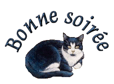 Gif animé bonne soirée chat